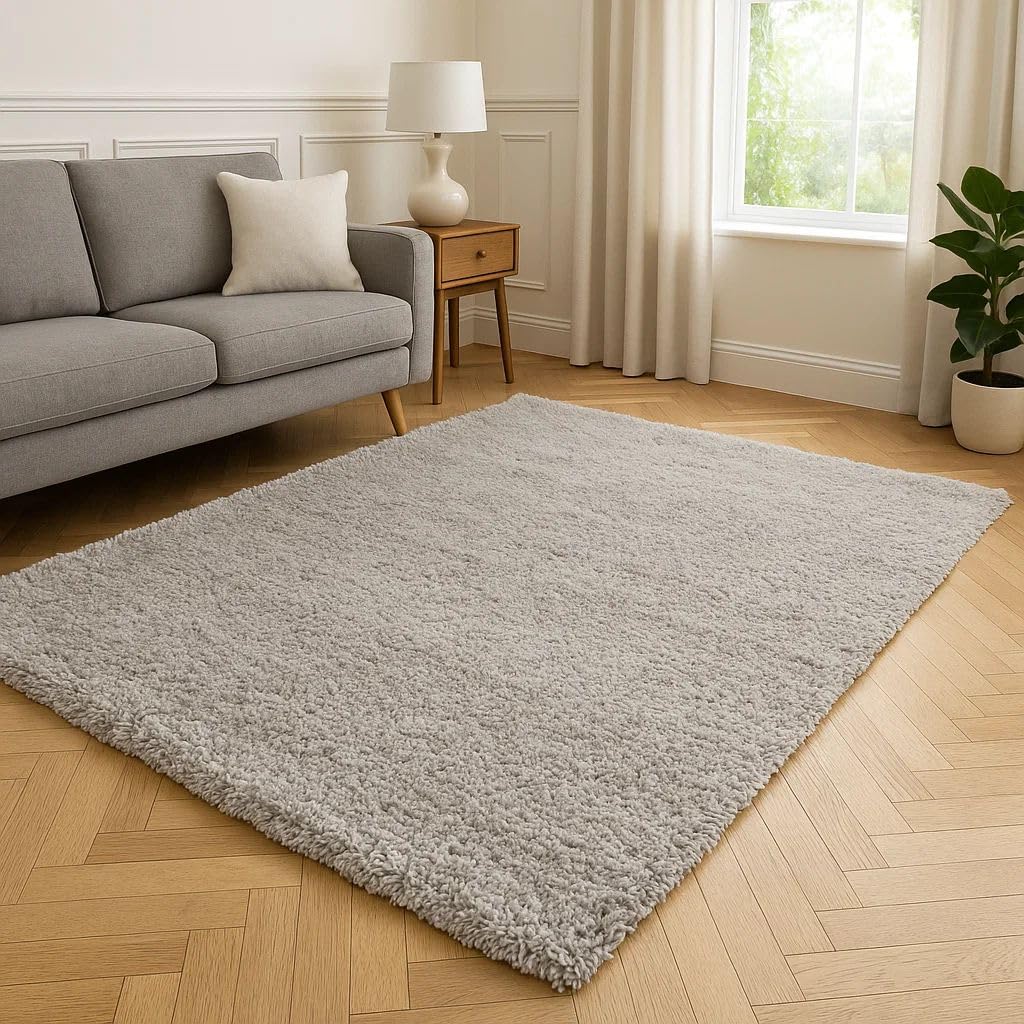 Silver Grey Rug Cloud-Like Soft Pile High-Traffic Area Carpet Calm Bedroom Lounge Mat Light Grey Plush Finish Easy to Maintain Rugs 160cm x 230cm (5ft 3" x 7ft 7")