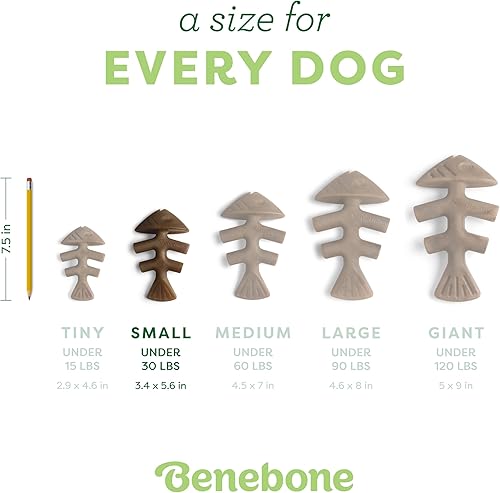 Vista 4 de Benebone Fishbone - Juguete masticable duradero para perros masticadores agresivos, peces reales, fabricado en Estados Unidos, pequeño