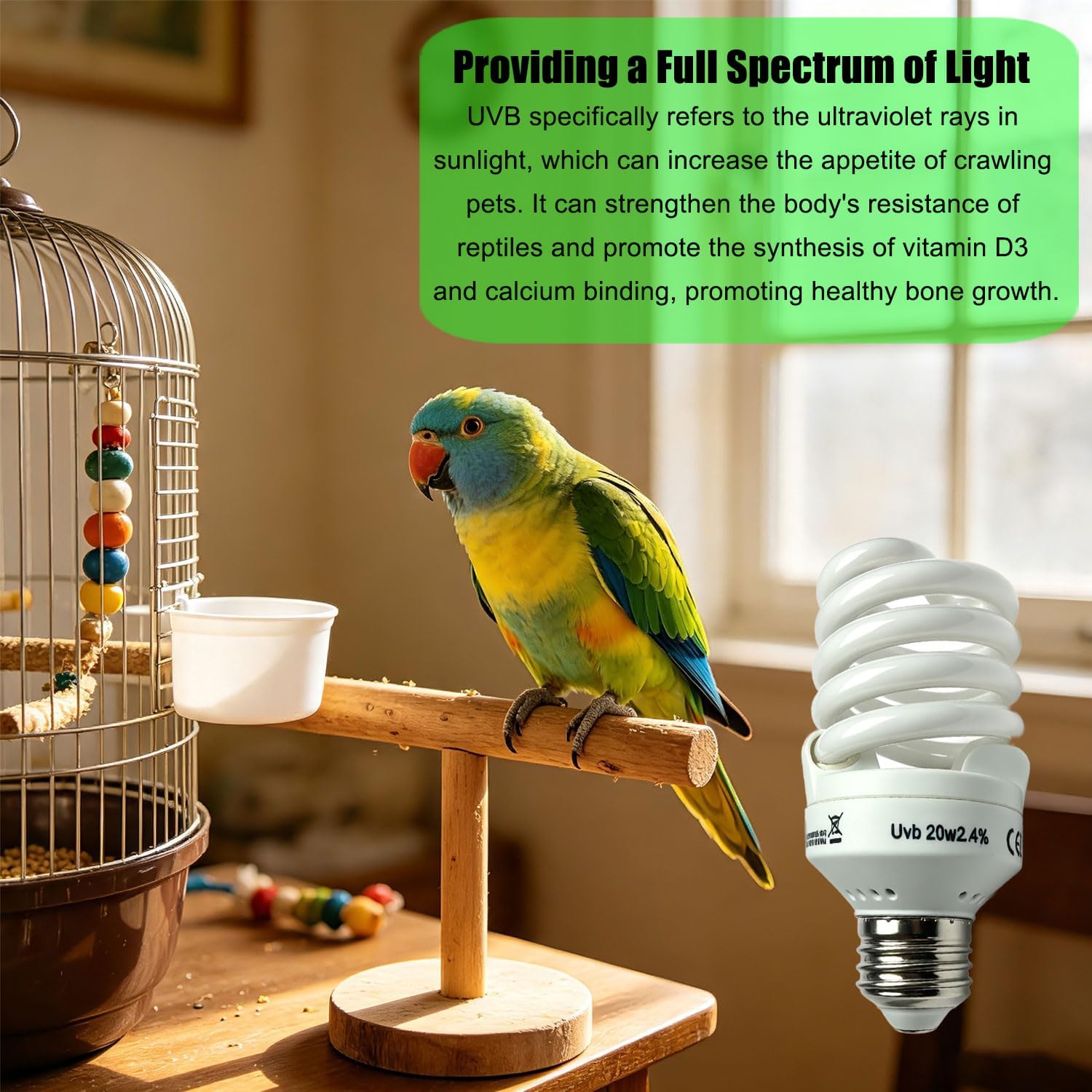 KINGYEENUO E26 UVA UVB Light Bulb for Birds 2.4% UVB 20W Compact Flourescent Lamp for All Kinds Captive Birds, Natural Sunlight Simulation Bird Parrot Light Bulb Compact UVB Lamp Bird Cage UVB Light