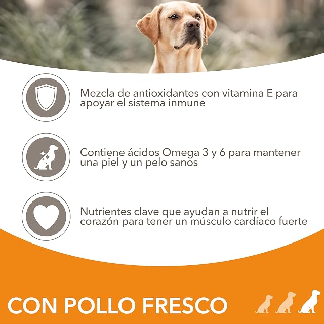 Foto 4 de 7 de IAMS Alimento Seco para Perros de Razas Grandes, Pollo, 12kg