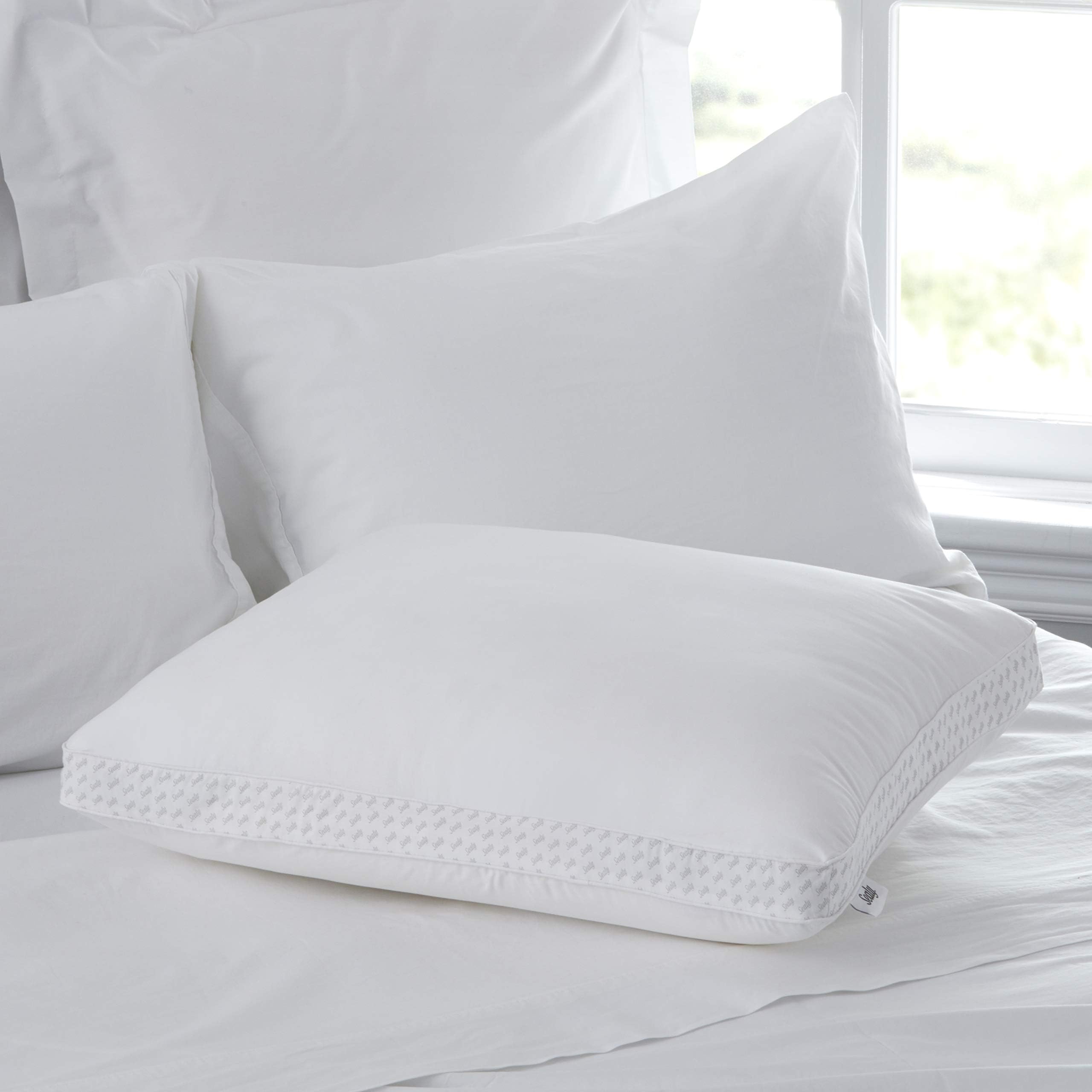 Sealy Essentials Down Alternative & Memory Foam Pillow, Standard/Queen, White