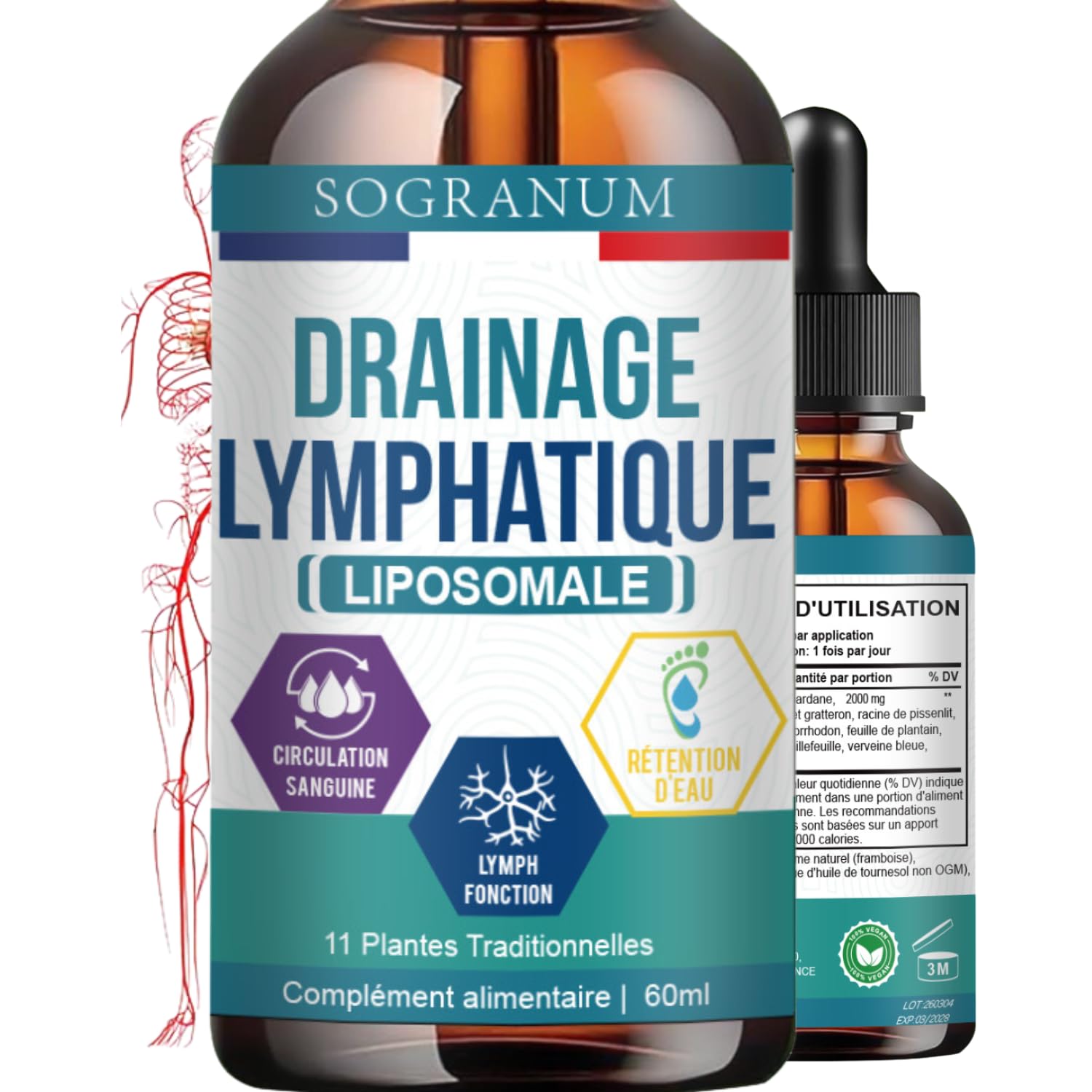 Drenaje linfático liposomal | Circulación sanguínea, flebitis, presión arterial | 11 plantas tradicionales (diente de león, bardana, equinácea) para la eliminación de toxinas | 60 ml