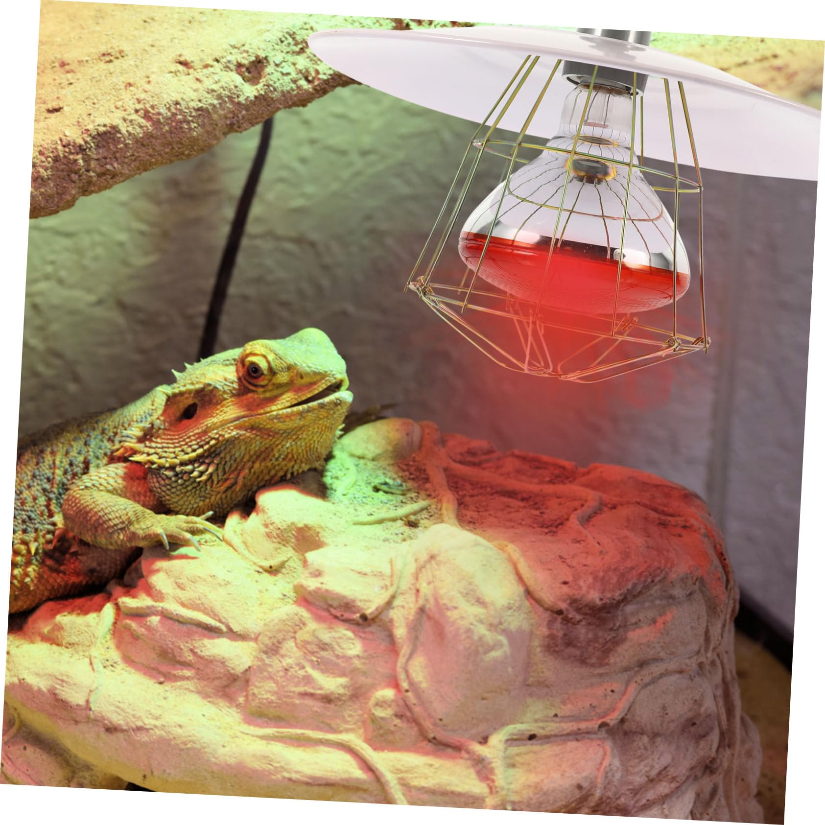 ibasenice Lampada Termica Riscaldante per Gabbie di Piccoli Suini e Animali Domestici Coprilampada in Metallo Bianco, Effetto Riscaldante Efficiente Colore Casuale per Allevamento