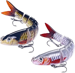 2 Pcs Fishing Lures for Bass Trout, Multi Jointed Segmented Pike Fishing Bait with Hooks, Pike Fishing Lures, Slow Sinking Bass Fishing Lure, Amazing Fishing Gifts for Men, Family Fishing Gear