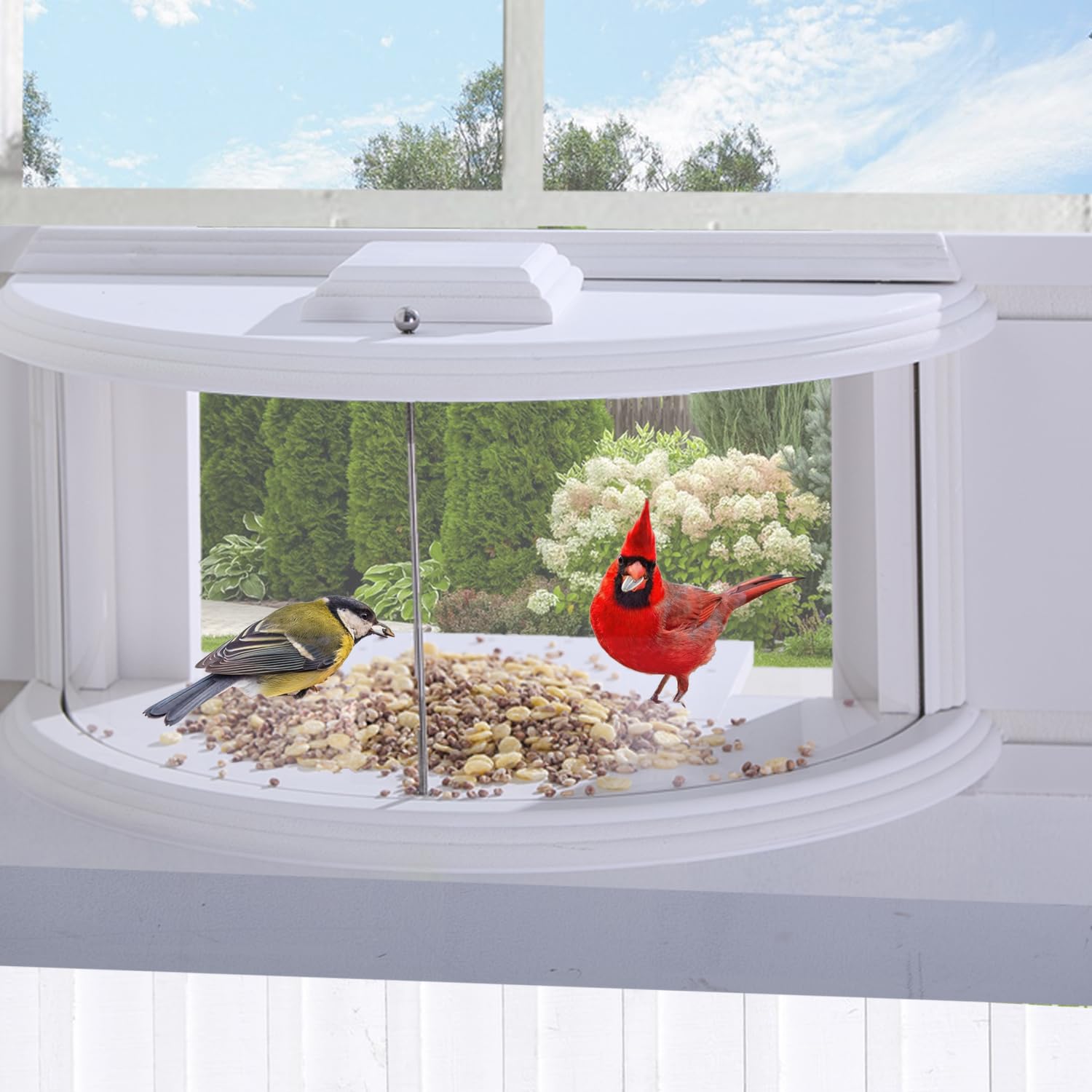 Amazon.com : Window Bird Feeders for Viewing Outdoors, 180° Clear Bird ...