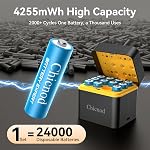 Rechargeable AA Lithium Batteries with Fast USB-C Charger, 12-Pack 4255 mWh 1.5V Constant Voltage for Blink Outdoor Camera, Xbox Controller, Flashlights – 2000+ Cycles