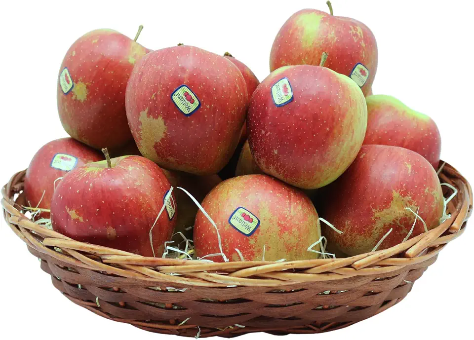 BAMELO® Äpfel Wellant frische,säftige Allergikerapfel Box 3 Kg