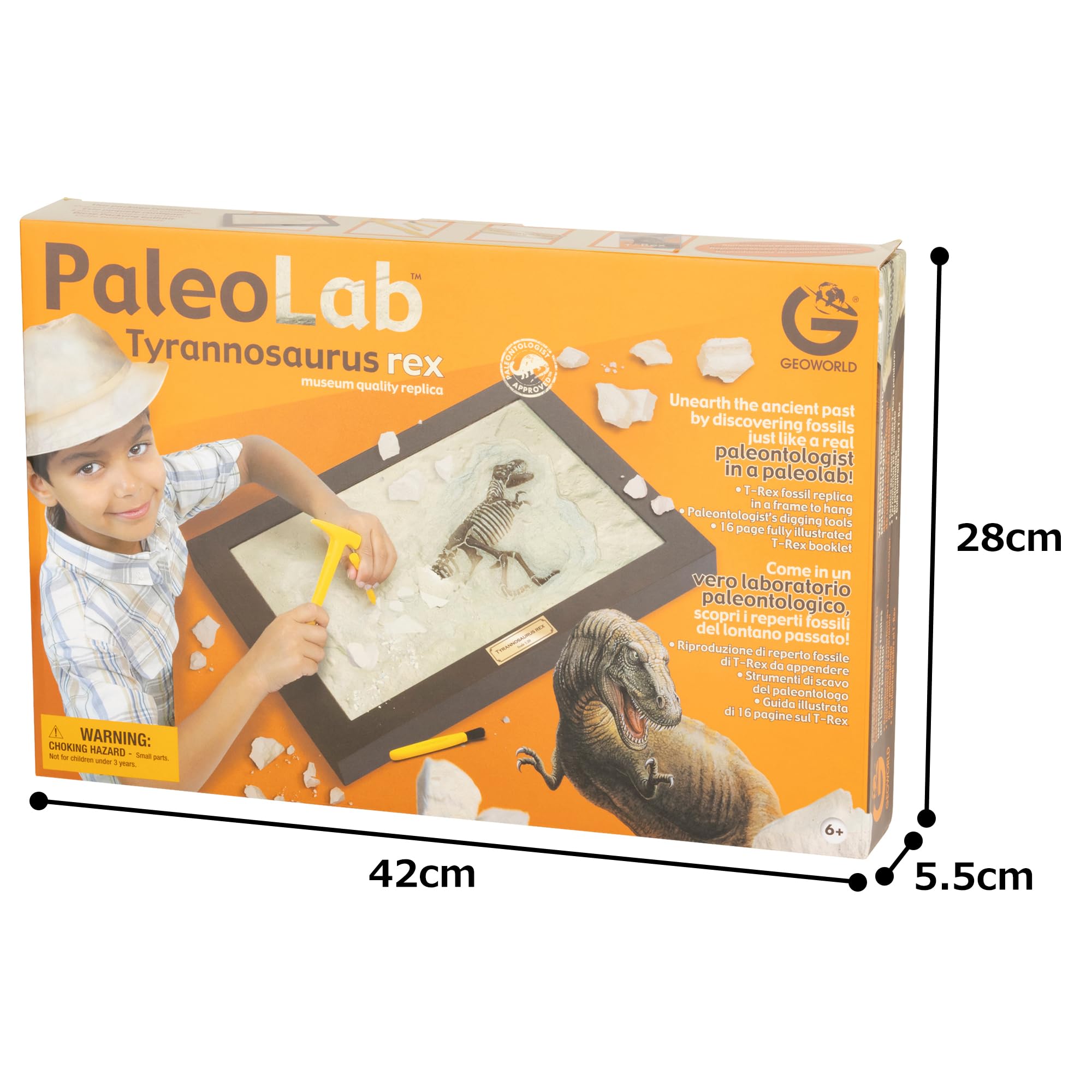 Amazon.co.jp: ヤマサン(Yamasan) 化石発掘プレート ティラノサウルス