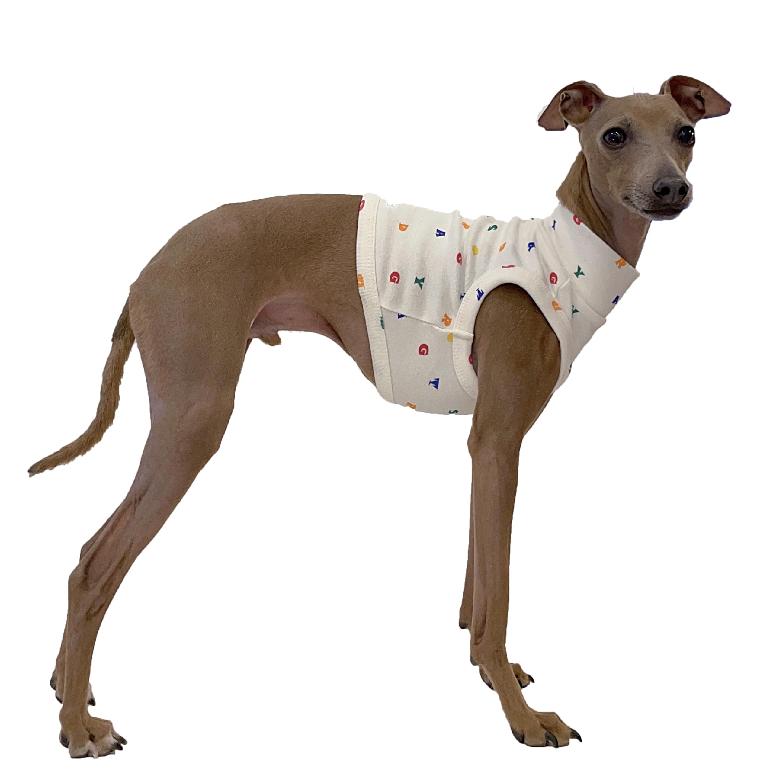 D Doggy Star Italian Greyhound Clothes Crop Top Stretchy T Shirts Whippet for Dogs (S,Alpbt Croptop Ivry) โ image 1