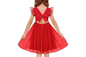 Toddler Red Dress 4t