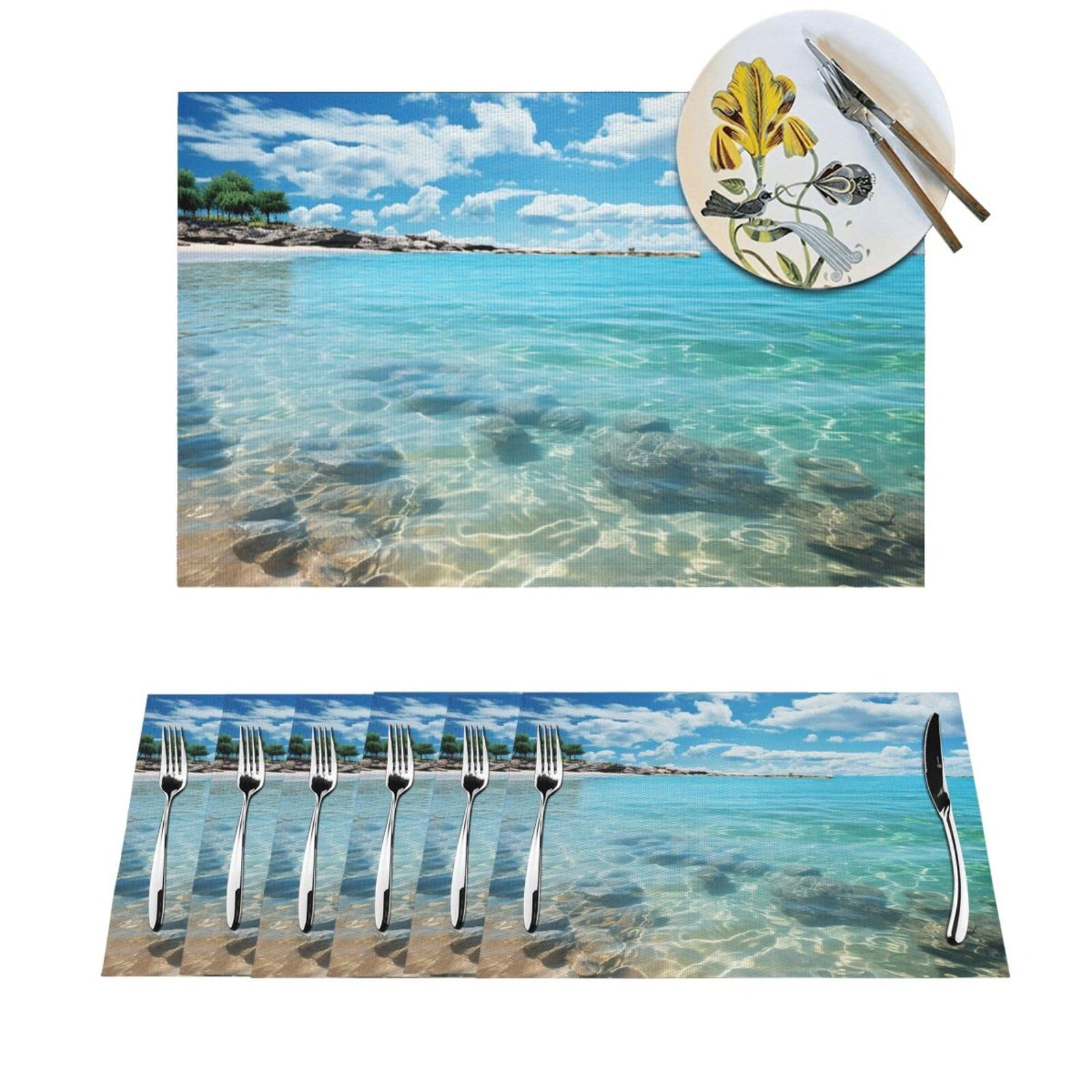 Sets de table haut de gamme lavables à l'eau de mer pour salle à manger