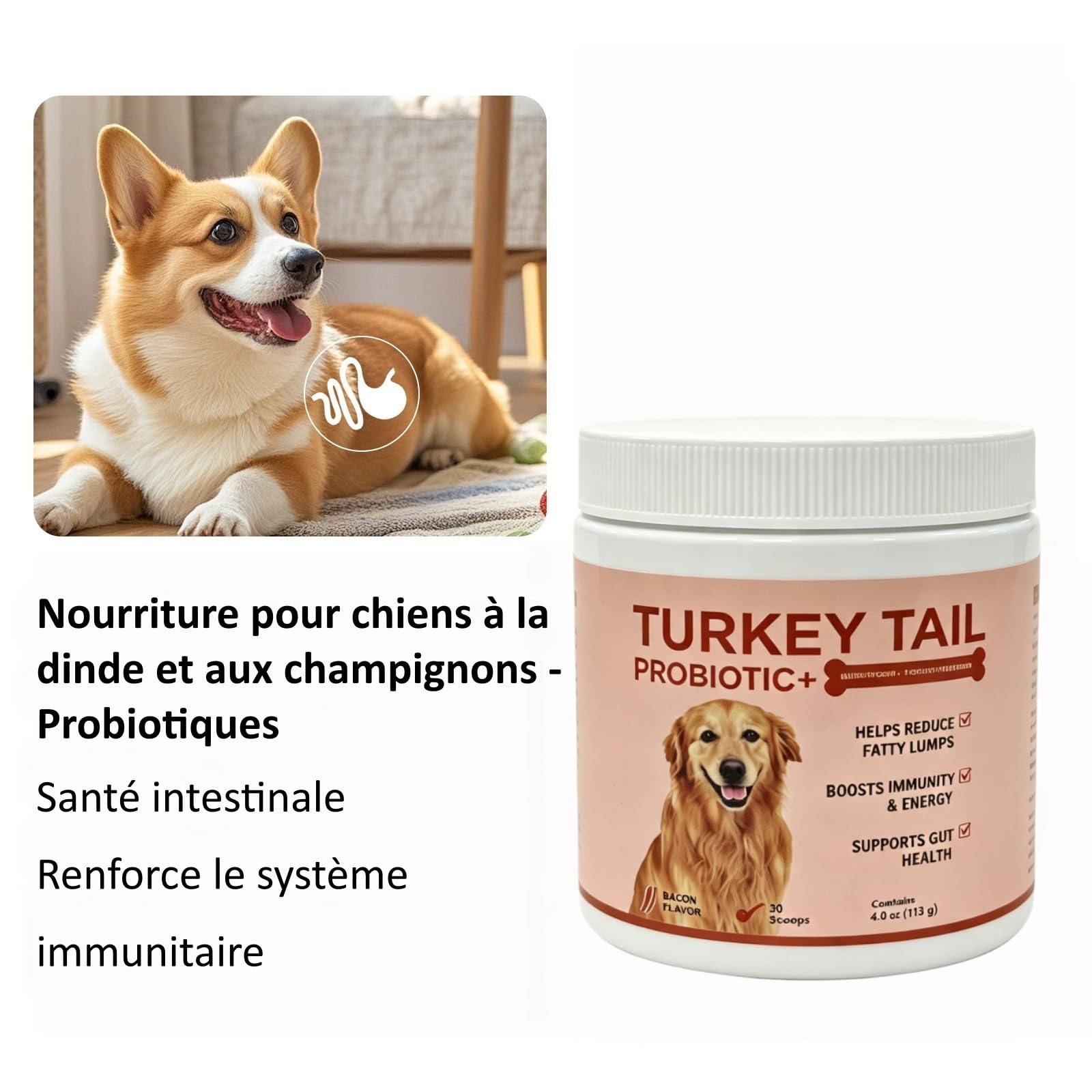 Orealift Probiotiques pour Chiens,Facilite la Digestion