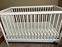 Review Image by Shellaney Moyer Shellaney Moyer