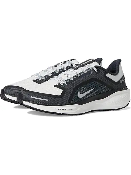 Мужские кроссовки Nike Pegasus 41 GORE-TEX для бега