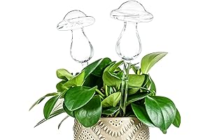 Mushroom-Shaped Self-Watering Globes: Keep Your Plants Hydrated Effortlessly