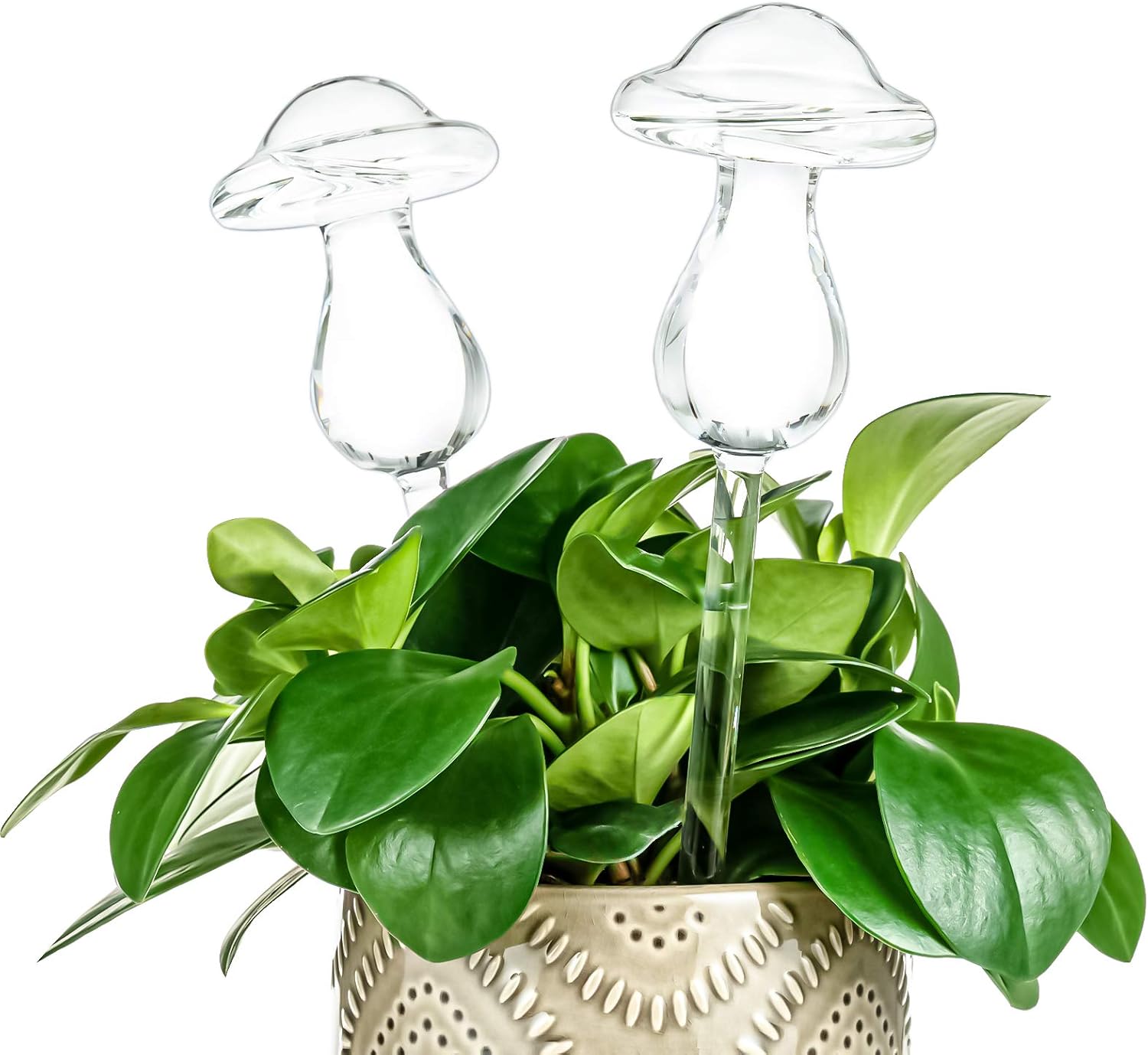 Kingbuy Self Watering Globes Plant Waterer Device Mushroom