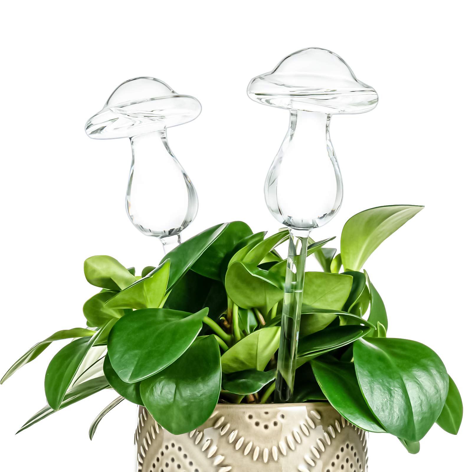 Kingbuy Mushroom Shaped Self-Watering Globes - 2 Pack Glass Automatic Plant Waterer for Indoor Outdoor Plants, Water Bulbs & Decorative Stakes for Plant Lovers