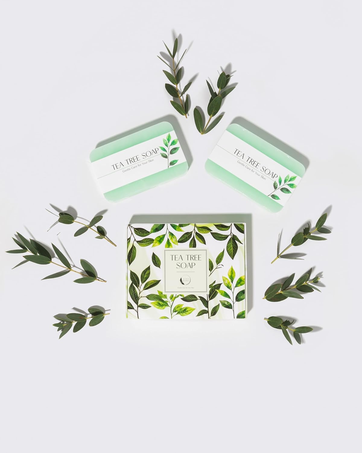 Aura Naturals Tea Tree Soap Bar - Set of 2, Natural Soap Bar for Face & Body Wash, Tea Tree Oil Soap with Anti Fungal Properties for Body Itching Acne Athlete's Foot Folliculitis 7 71PC+UMhchL. AC SL1500