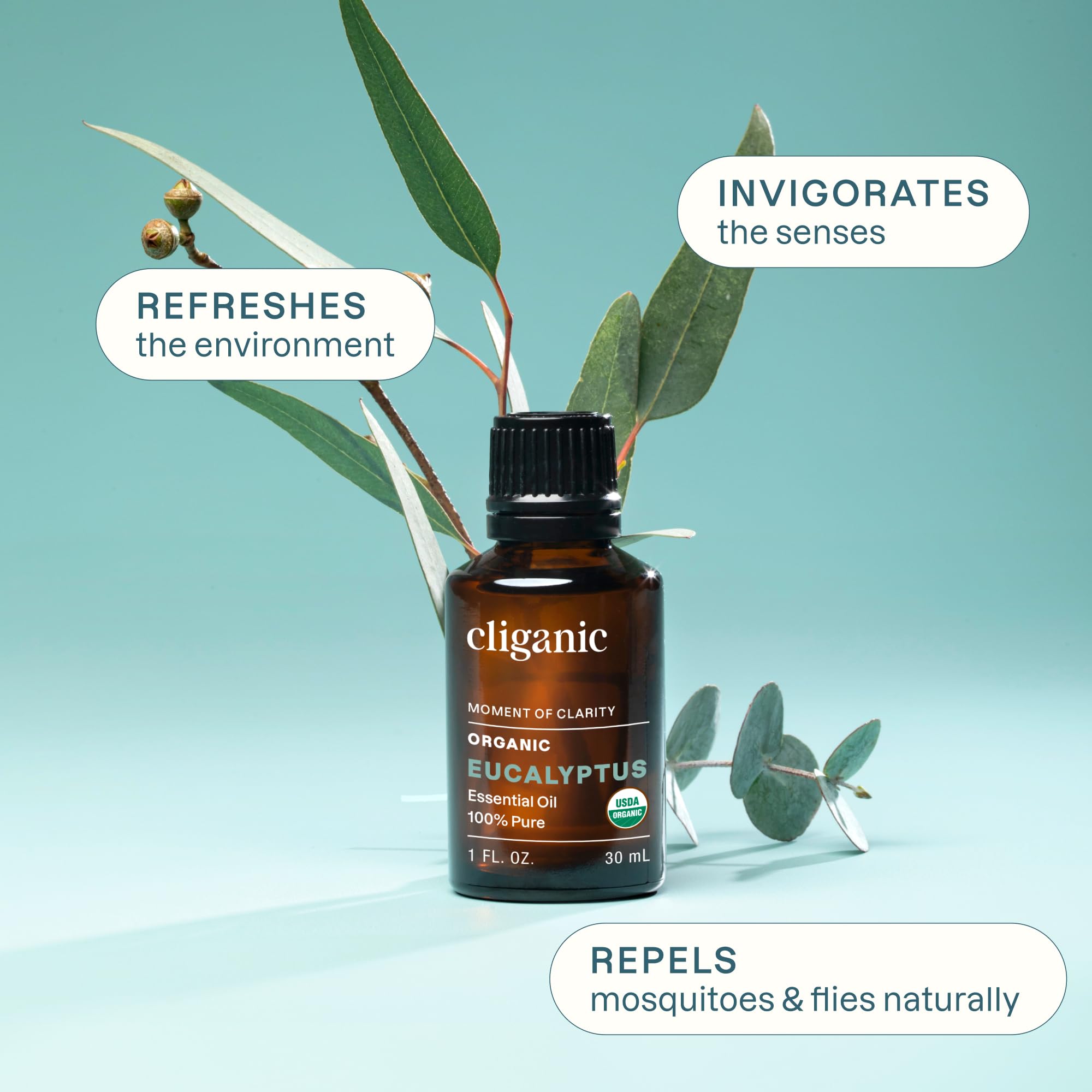 Cliganic Aceite esencial de eucalipto orgánico USDA, 100% puro, aceite de aromaterapia natural para difusor destilado al vapor, con verificación sin OMG