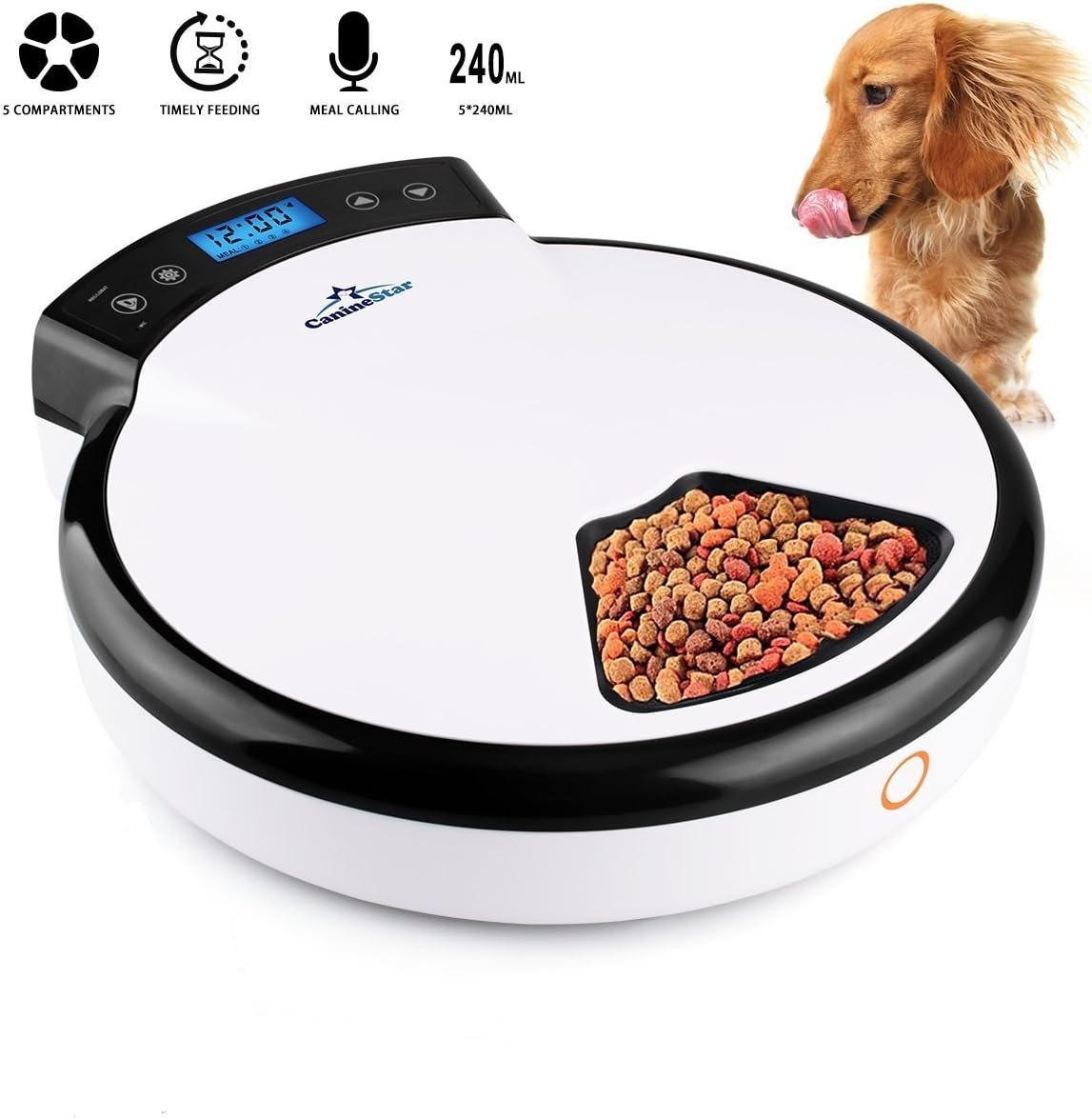 Automatic Pet Feeder Pet Dish with Intelligent Real Voice Recorder Timer Food Dispenser with LCD Display and 240ML 5 Capacity Dry & Wet Food for Cats, Dogs, and House Animals (Gift Random Color)