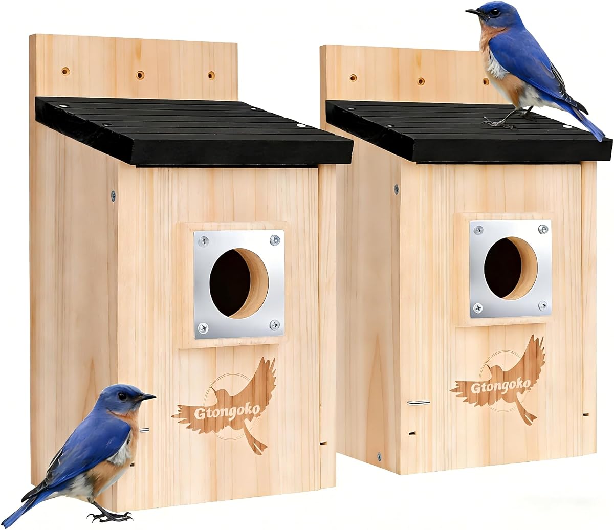 Gtongoko 2 Pack Bluebird Houses for Outside with Metal Predator Guard Black | 1-1/2" entrance, Elevated Mesh Floor, Climbing Grooves, Clean-Out Door, Air-Vent for Bluebirds, wrens, swallows, chickadees