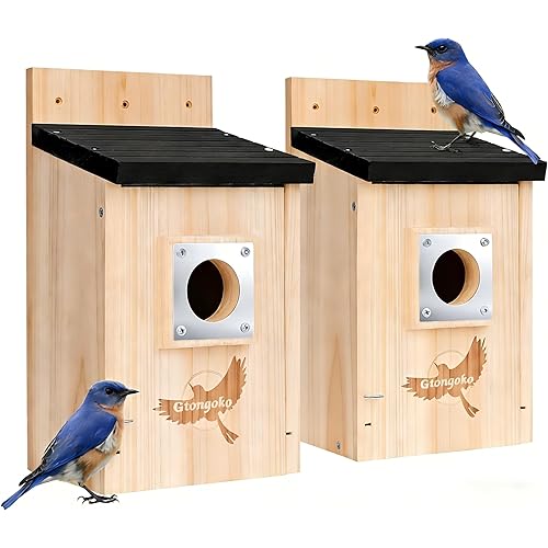 Gtongoko 2 Pack Bird Houses for Outside, Bluebird Nesting Box with Metal Predator Guard, Wooden Birdhouse Kit for Chickadees, Swallows & Finches, Assembly Required