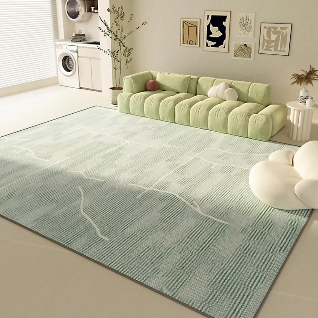 Tapis de salon epais lavable 80x160 deco peluche chambre doux moelleux moderne