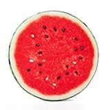 HYSEAS Round Throw Pillows 14 Inch Watermelon, 3D Print Decorative Plush Funny Fruit Stuffed Cushions Seat Pad for Couch, Chair, Floor, Sofa