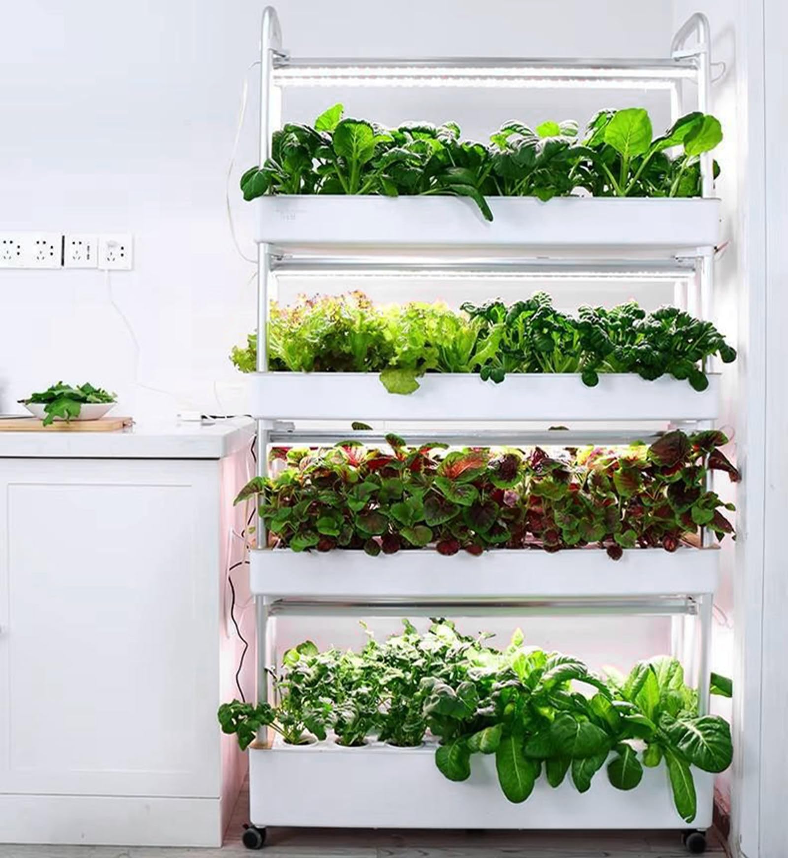 Kit de sistema de cultivo hidropónico con luz LED de crecimiento, configuración de germinación de plantas de jardín interior para el hogar, riego automático, crecimiento hidropónico de verduras y