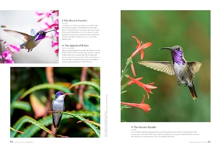 Birds & Blooms Ultimate Guide to Hummingbirds: Discover the wonders of one of nature's most magical creatures (Birds & Blooms Guide)