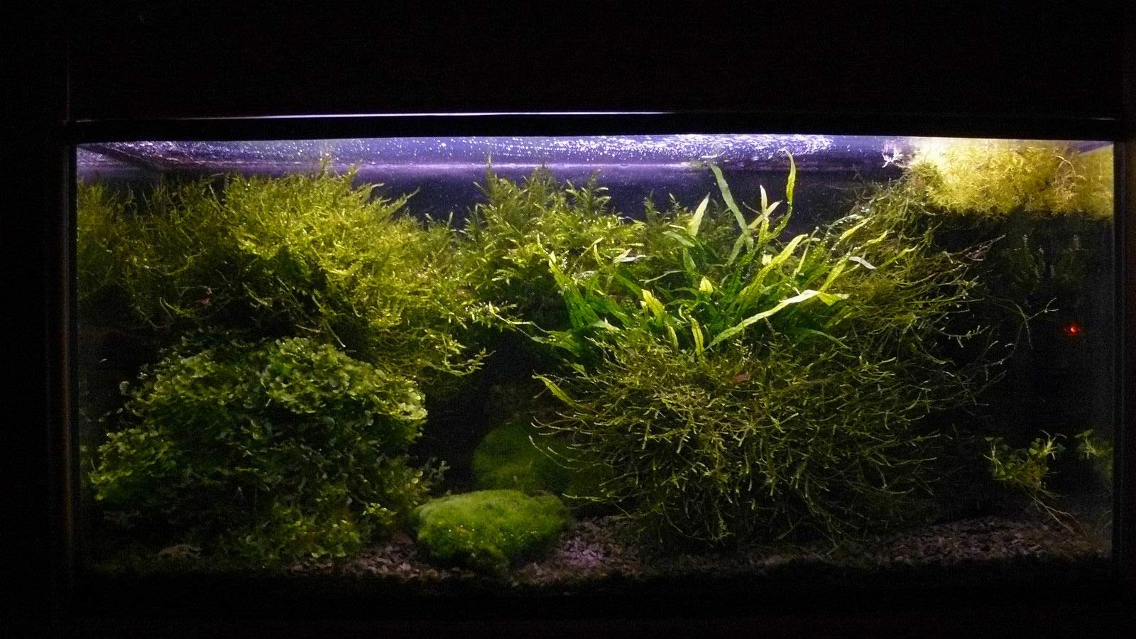 View 5