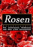rose walters tickhill  Rosen-Enzyklopädie