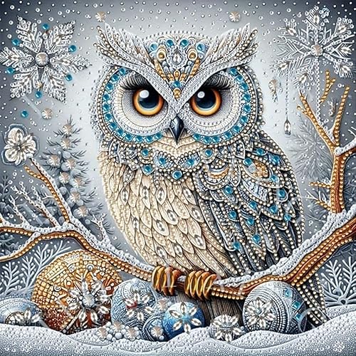 Owl Diamond Painting Kit - Special Shape Crystal Rhinestone DIY Art Craft, 30x30cm Unframed Canvas Mosaic for Home Wall Decor (Bedroom/Living Room/Office)