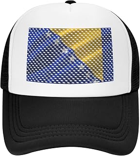 Flag of Bosnian Mesh Baseball Cap Adjustable Simple Snapback Hat Unisex Trucker Hats Black