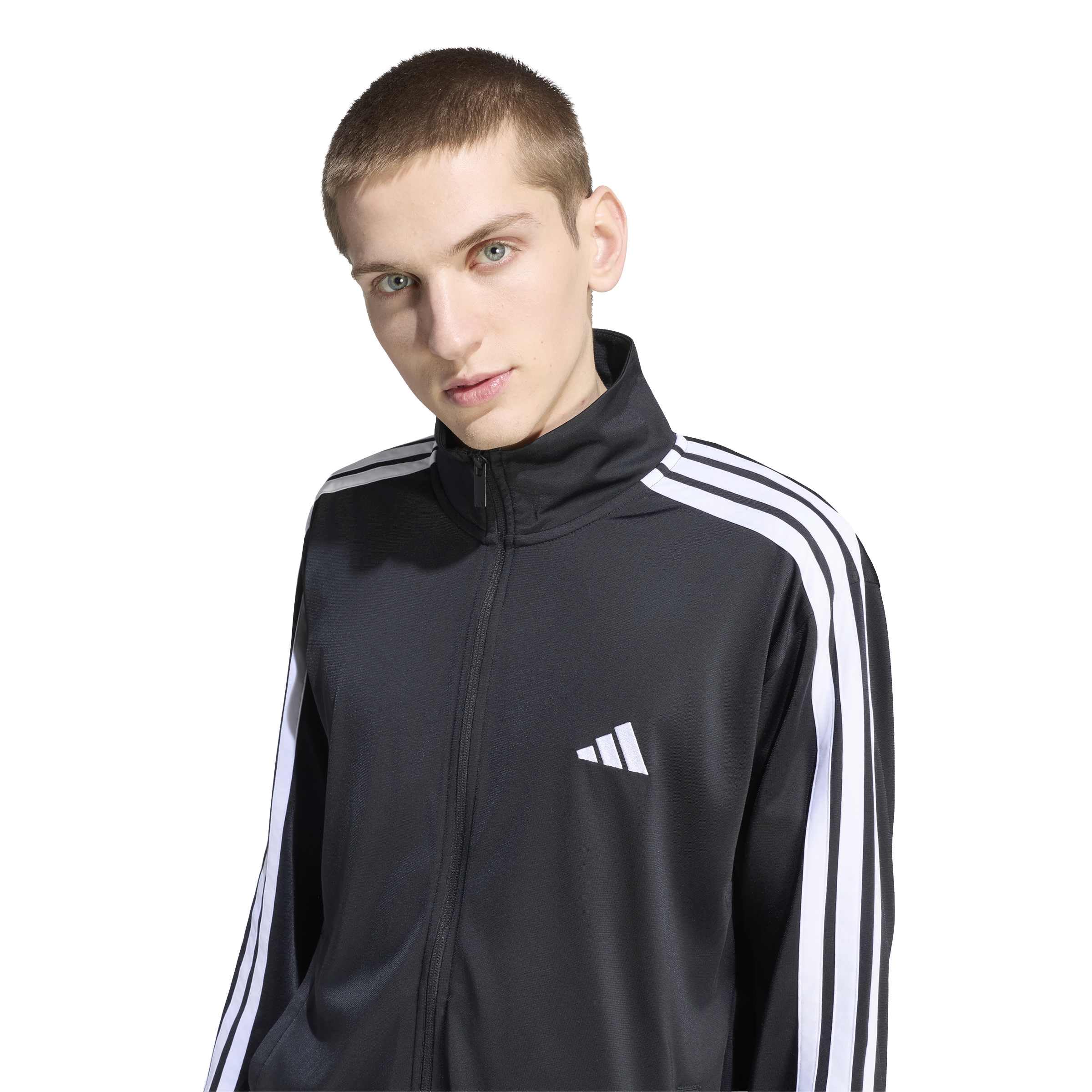 adidas Men's DAYREADY TRAININGSANZUG