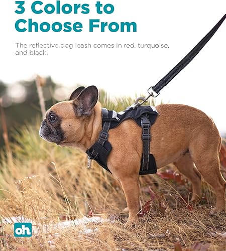 Vista 34 de Outward Hound Boulder Adventure - Arnés ajustable para perro con bolsillos, turquesa, mediano