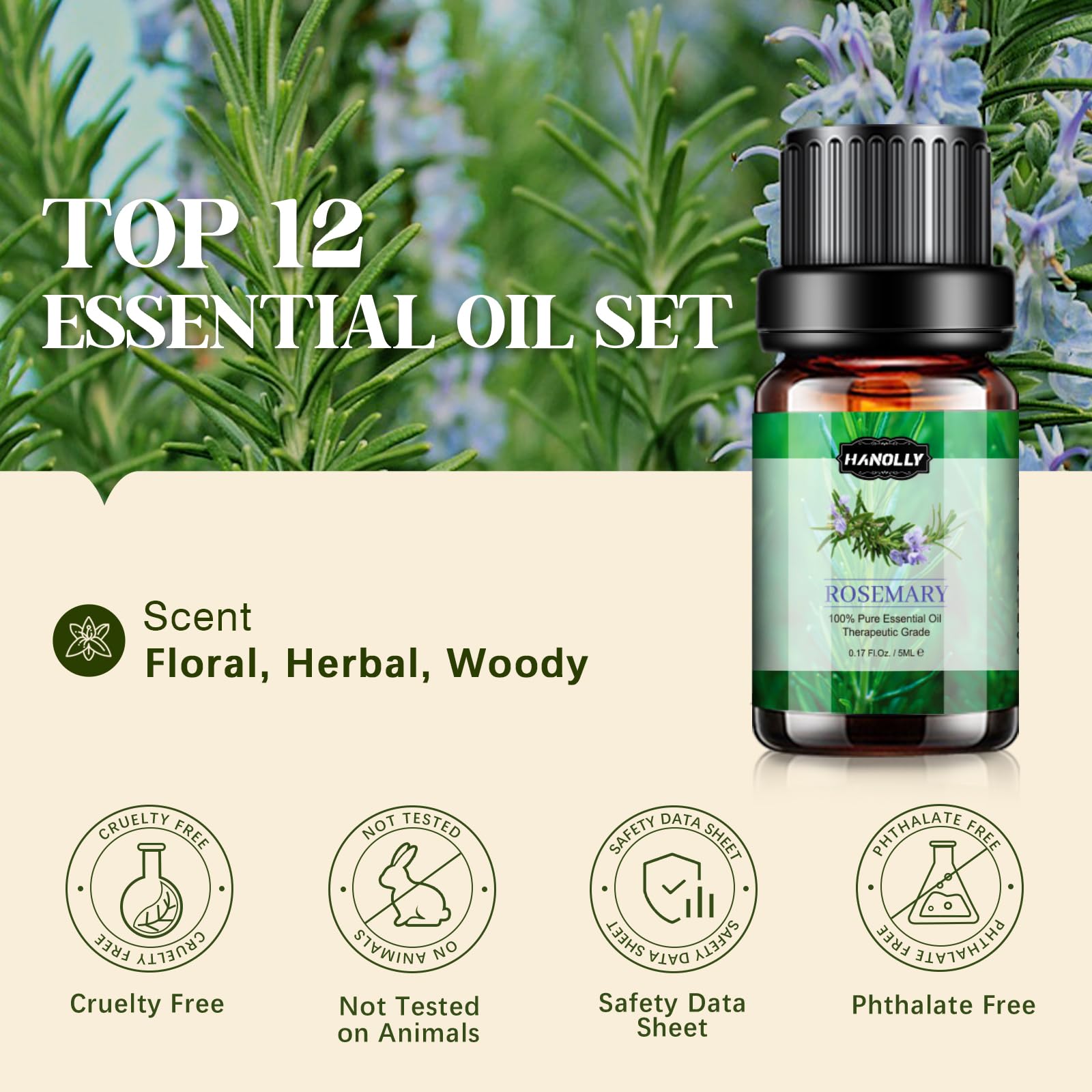 精油5本セット Amazon.com: Essential Oils Set, Aromatherapy Essential Oil