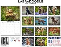 Vista 1040 de Razas de Perros 2017