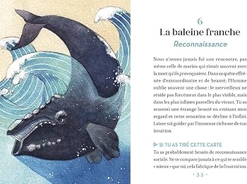 【正規品オラクルカード】水彩画の美麗イラスト✨イルカやクジラに会える海のデッキ Amazon.co.jp: 入手困難水彩画の美麗デッキイルカやクジラに