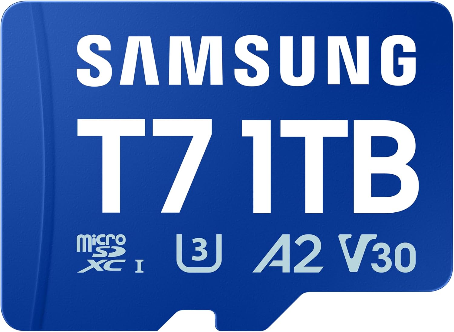 Vue 12