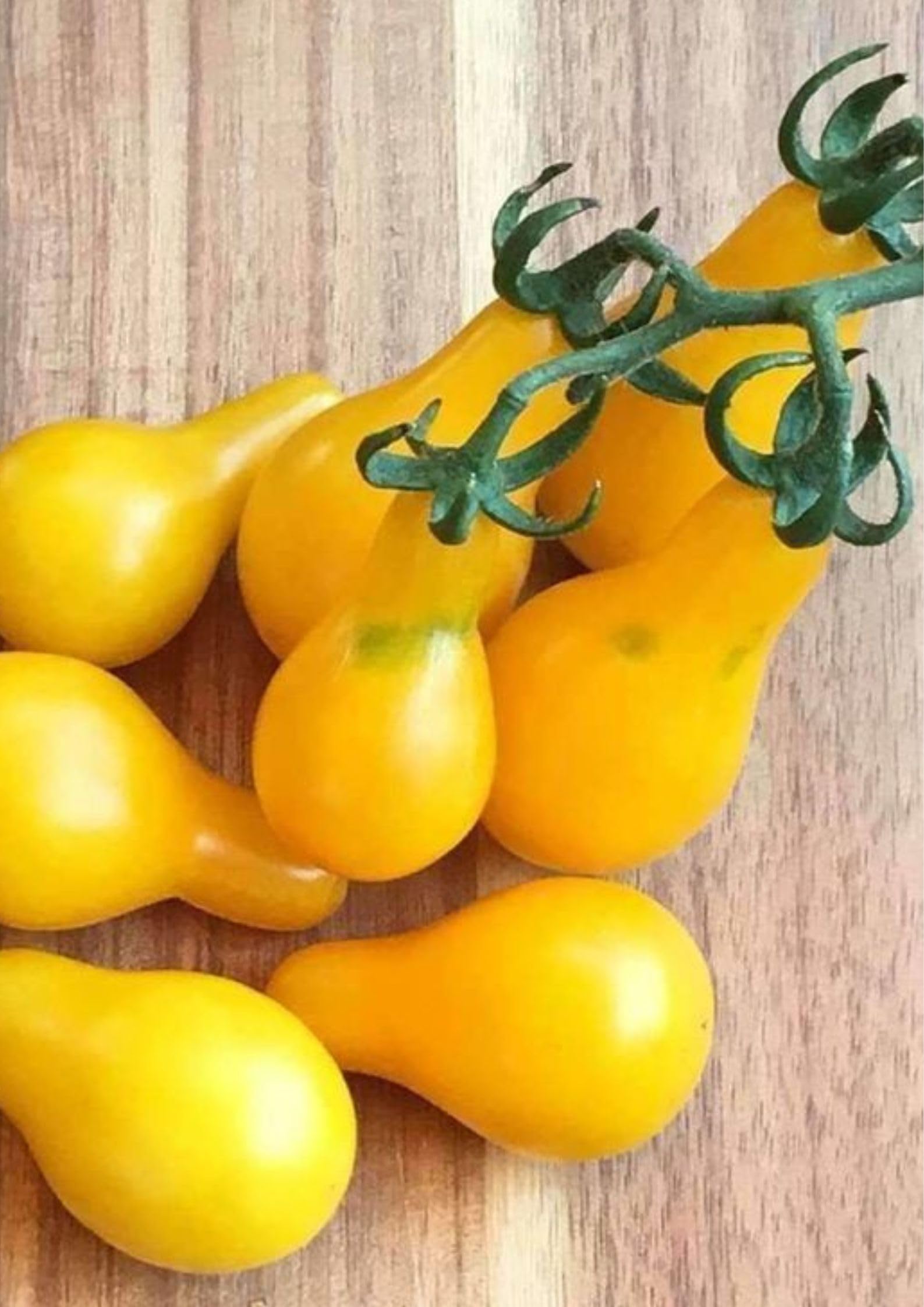 Oakwood Farms � Imported Yellow Long Tomato Vegetable Seeds For Home Gardening (Pack Of 100 Seeds) (B0CTQXP22D) Amazon Price History, Amazon Price Tracker