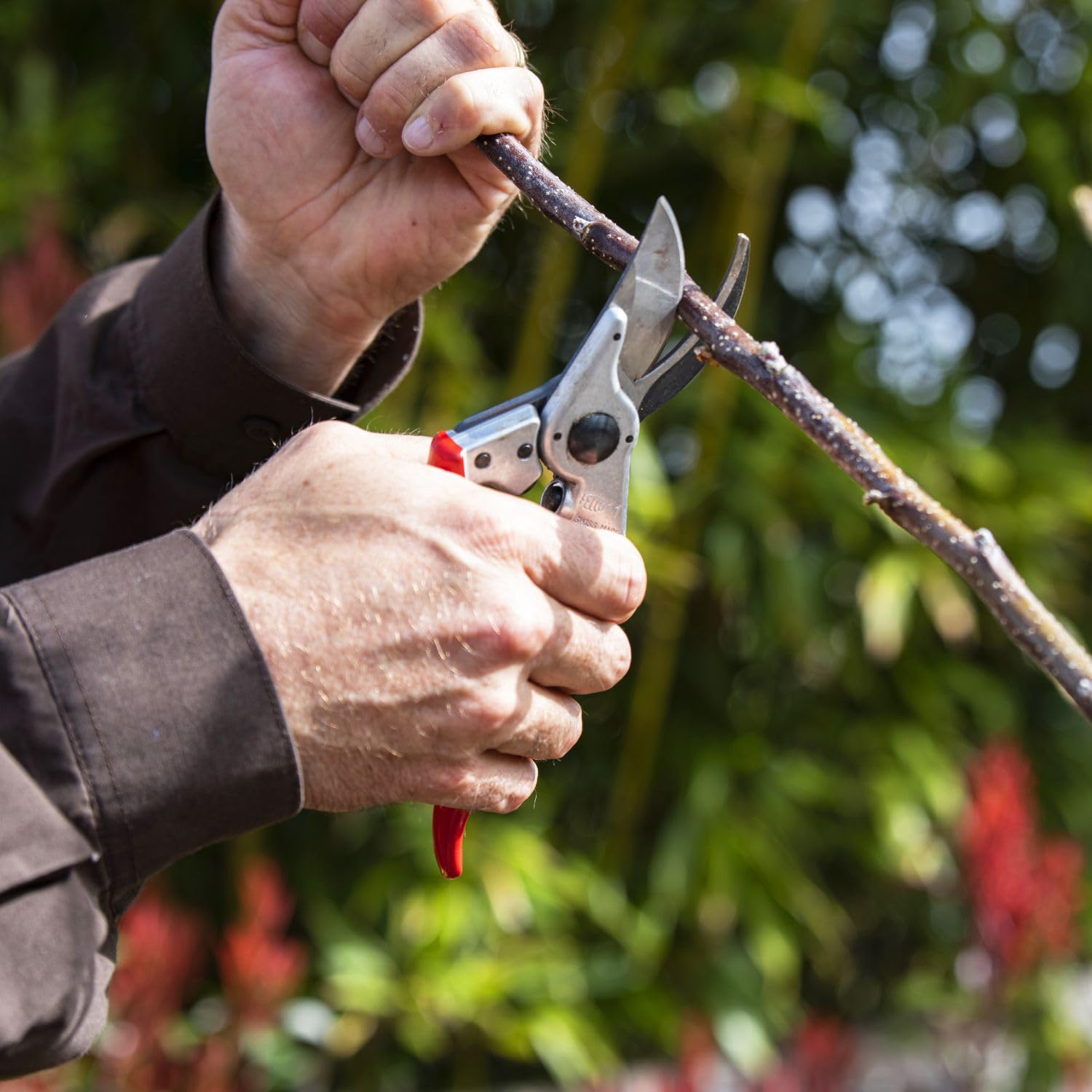 FELCO Ensemble sécateur FELCO 11 et scie pliante 601, outils indispensables pour le jardinage, coupe précise et vigne