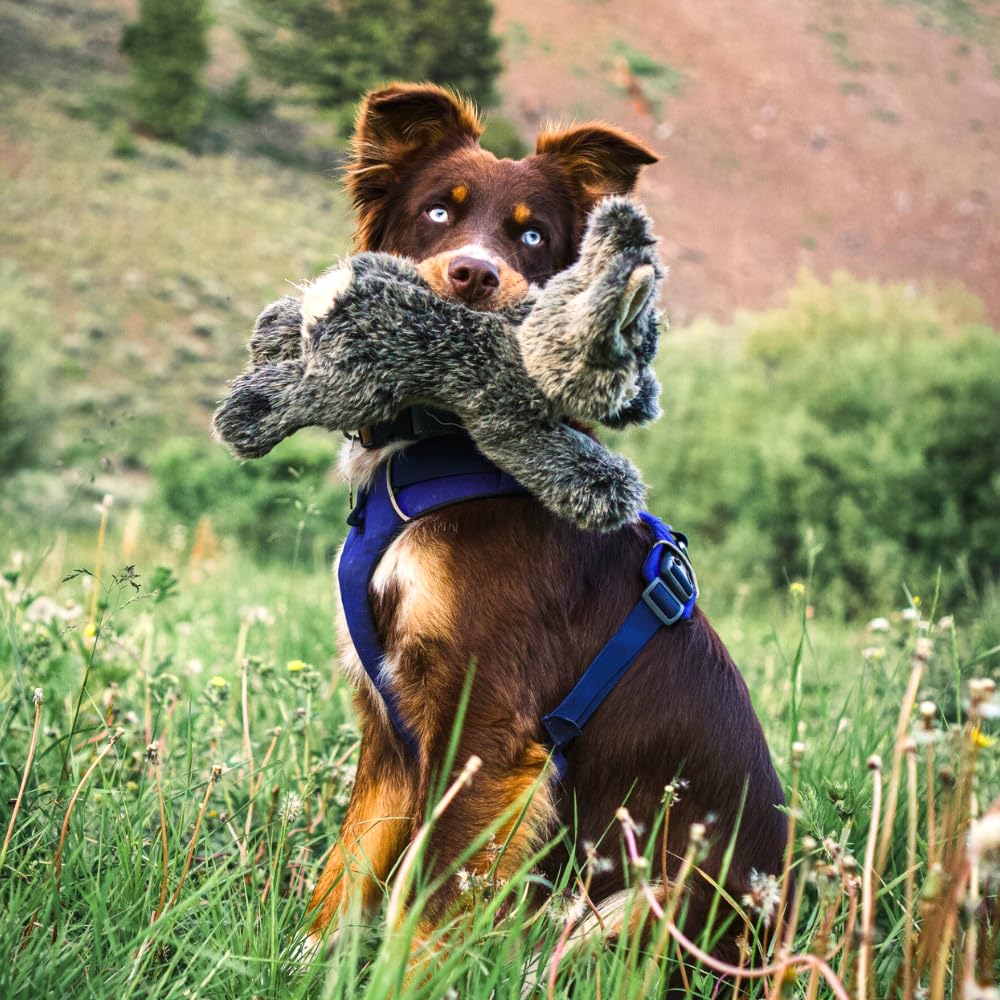 Fluff & Tuff Walter Wabbit Hundespielzeug aus Plüsch, 2 Stück, 30,5 cm, langlebig, gefülltes Kaninchen-Hundespielzeug mit Quietscher, doppelt genäht und ungiftig, weicher und dennoch robuster Plüsch