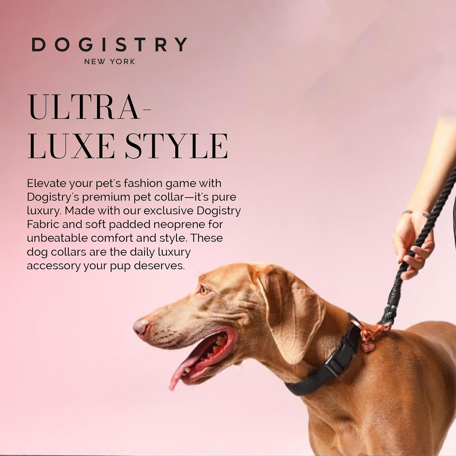 The DOGISTRY - City Collar - Black - Premium Dog Collar with Padded Neoprene & Signature Fabric - Refined Design & Everyday Luxury - Large