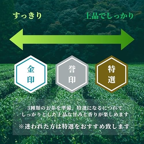 鹿児島 知覧 金印 深蒸し煎茶 100g
