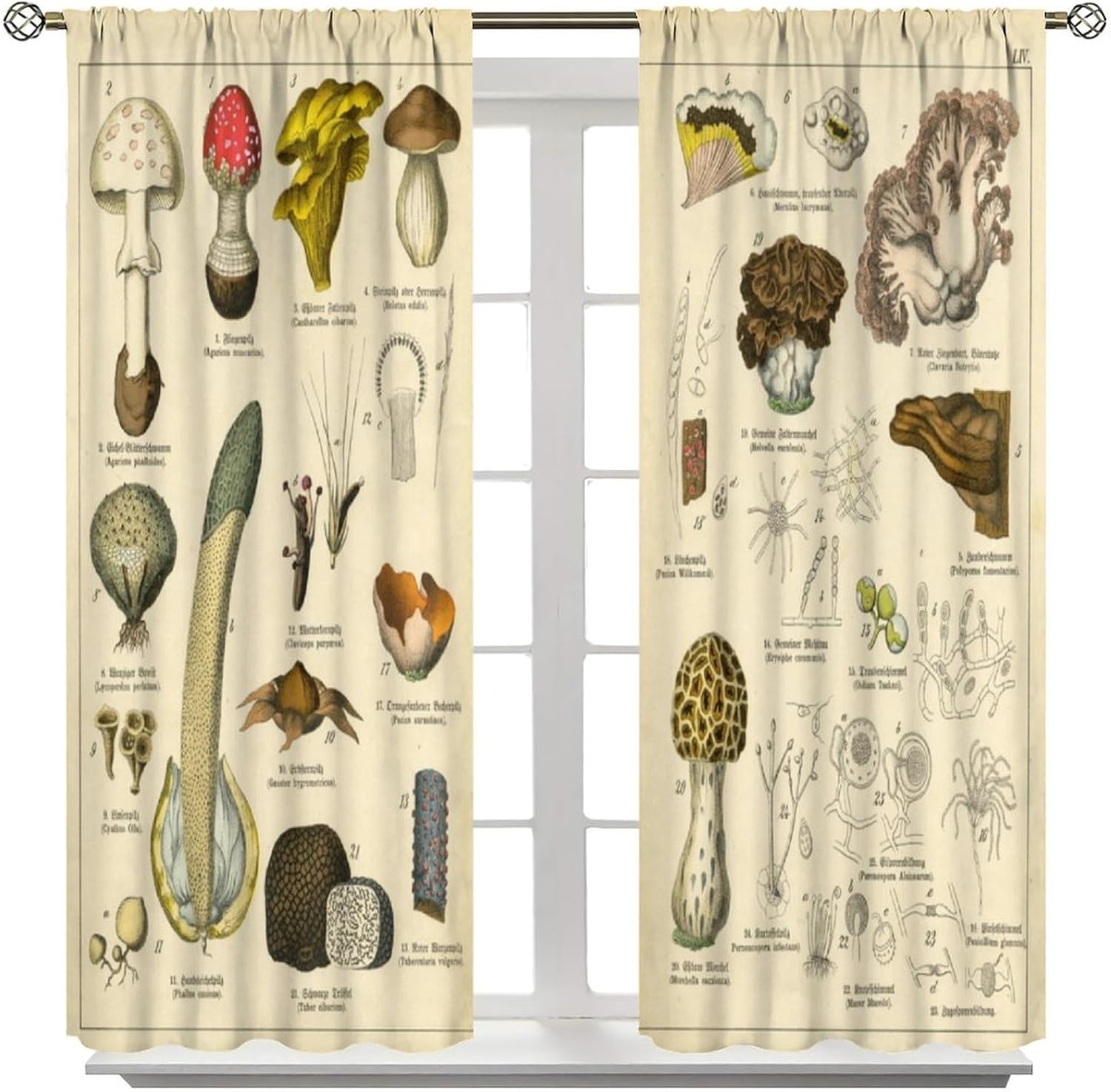 Mushroom Blackout Curtain Vintage Boho Forest Nature Wild Plant Window Curtains Rod Pocket Drapes for Living Room Kitchen Dining Room Cafe Bedroom Office 42x45 in