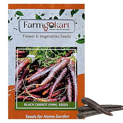 FARMGO 10 Gms - BLACK CARROT SEEDS, Vegetable Seeds for Home Gardening, Farming, Hydroponics and Poly Houses