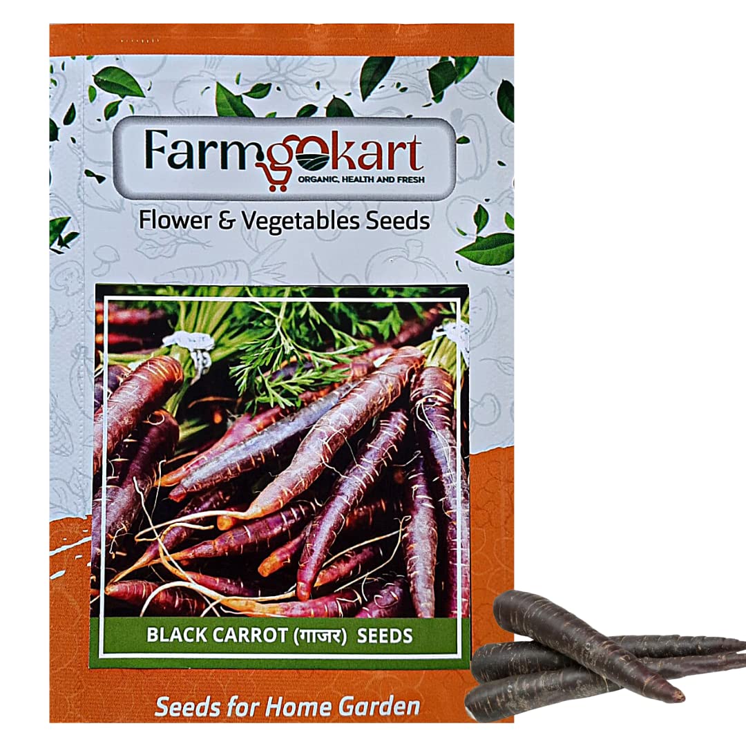 FARMGO 10 Gms - BLACK CARROT SEEDS, Vegetable Seeds for Home Gardening, Farming, Hydroponics and Poly Houses (B0BX6R78FS) Amazon Price History, Amazon Price Tracker