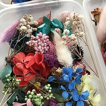 引越し処分様◆【訳あり】ドライフラワー 花びら mix（701ハンドメイド） 引越し処分様◇【訳あり】ドライフラワー 花びら mix（701