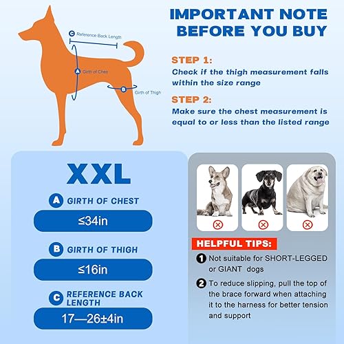 Miniatura 12 de Rodillera para perro para pierna trasera desgarrada del ACL – Soporte ajustable para la pierna trasera del perro con 4 estabilizadores de metal